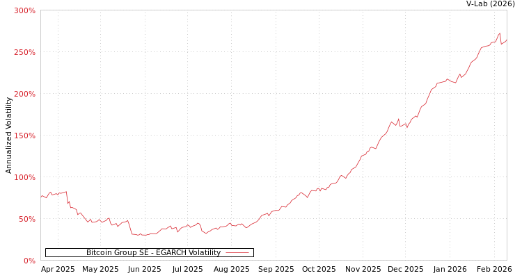 graph of Bitcoin Group SE EGARCH