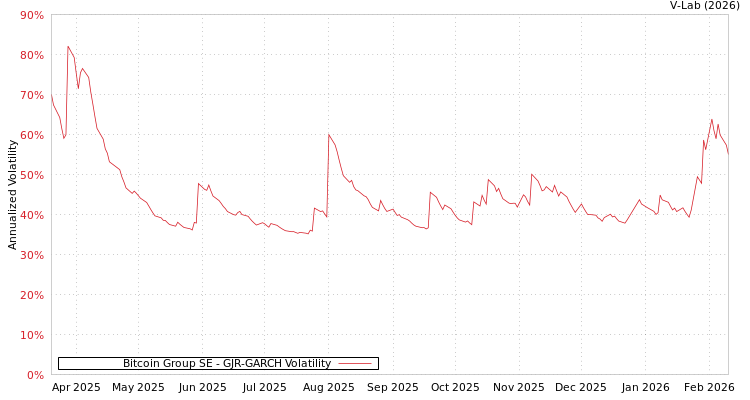 graph of Bitcoin Group SE GJR-GARCH