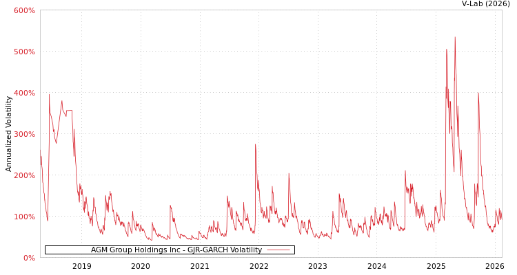 graph of AGM Group Holdings Inc GJR-GARCH