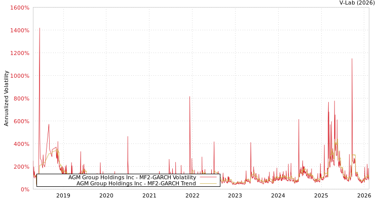 graph of AGM Group Holdings Inc MF2-GARCH