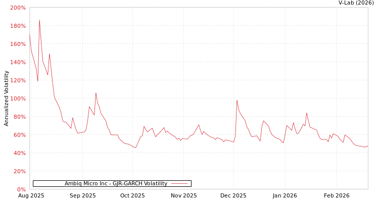 graph of Ambiq Micro Inc GJR-GARCH