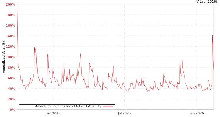 graph of Amentum Holdings Inc EGARCH