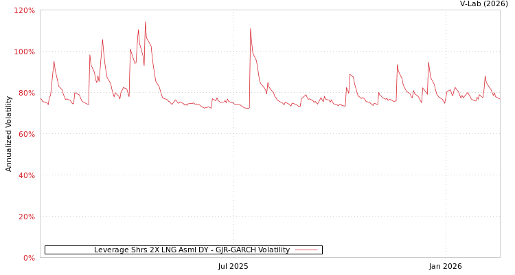 graph of Leverage Shrs 2X LNG Asml DY GJR-GARCH