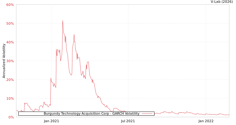 graph of Burgundy Technology Acquisition Corp GARCH
