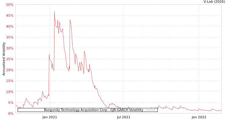 graph of Burgundy Technology Acquisition Corp GJR-GARCH