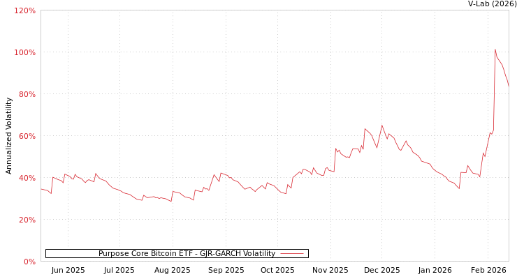 graph of Purpose Core Bitcoin ETF GJR-GARCH