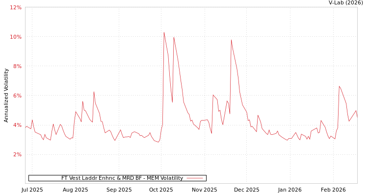 graph of FT Vest Laddr Enhnc & MRD BF MEM