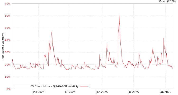 graph of BV Financial Inc GJR-GARCH