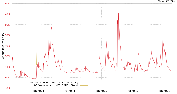 graph of BV Financial Inc MF2-GARCH