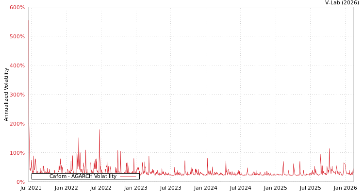 graph of Cafom AGARCH
