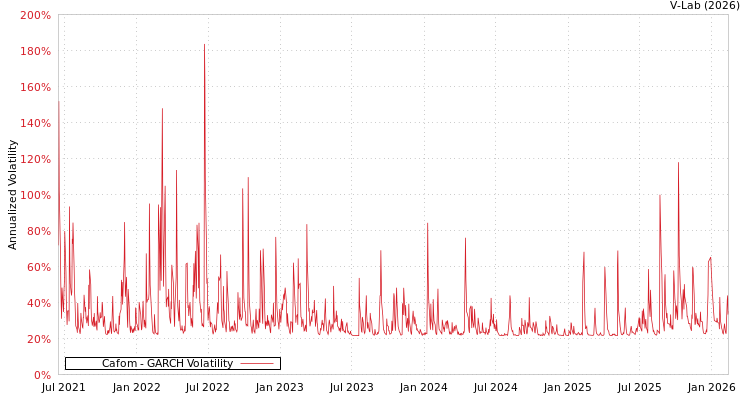 graph of Cafom GARCH