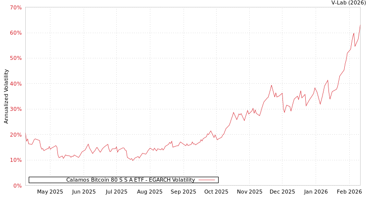 graph of Calamos Bitcoin 80 S S A ETF EGARCH
