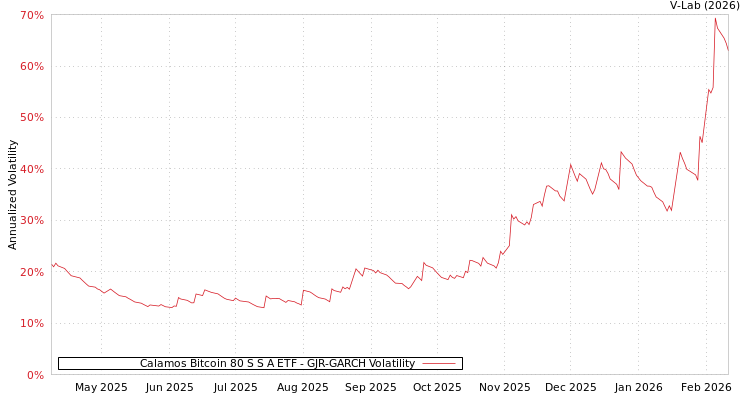 graph of Calamos Bitcoin 80 S S A ETF GJR-GARCH