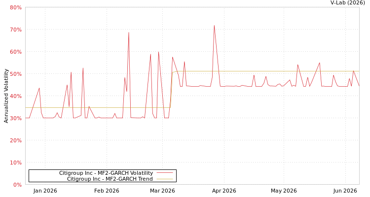 graph of Citigroup Inc MF2-GARCH