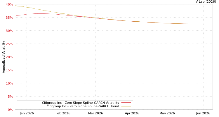 graph of Citigroup Inc S0GARCH