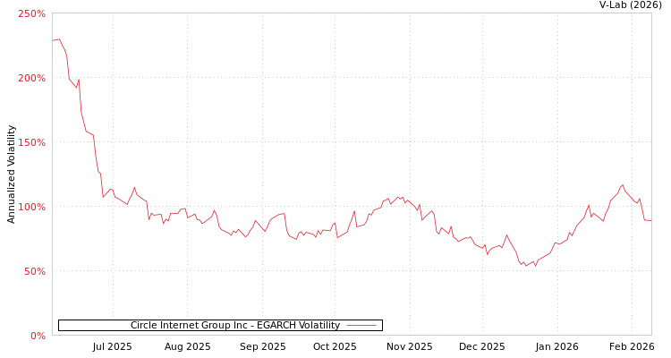 graph of Circle Internet Group Inc EGARCH