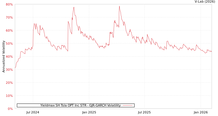 graph of Yieldmax SH Tsla OPT Inc STR GJR-GARCH