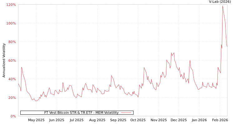 graph of FT Vest Bitcoin STR & TR ETF MEM