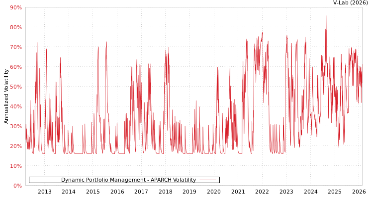 graph of Dynamic Portfolio Management APARCH
