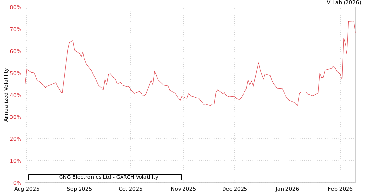 graph of GNG Electronics Ltd GARCH