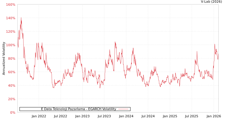 graph of E Data Teknoloji Pazarlama EGARCH