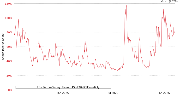 graph of Efor Yatirim Sanayi Ticaret AS EGARCH