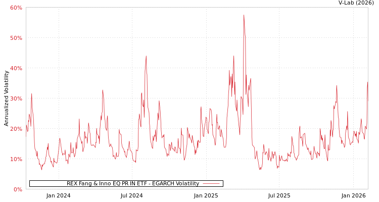 graph of REX Fang & Inno EQ PR IN ETF EGARCH