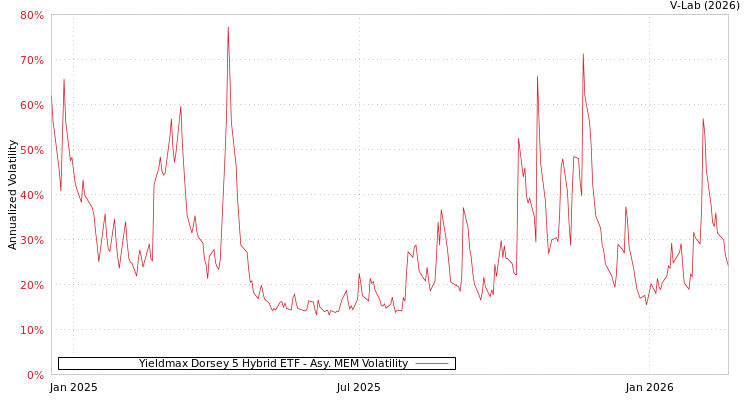 graph of Yieldmax Dorsey 5 Hybrid ETF AMEM