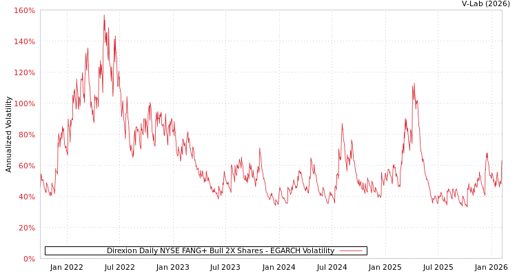 graph of Direxion Daily NYSE FANG+ Bull 2X Shares EGARCH