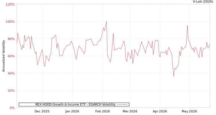 graph of REX HOOD Growth & Income ETF EGARCH