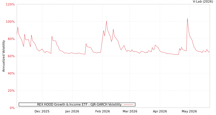 graph of REX HOOD Growth & Income ETF GJR-GARCH