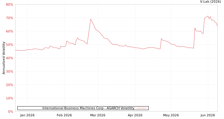 graph of International Business Machines Corp AGARCH
