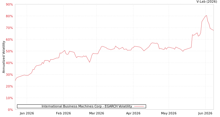 graph of International Business Machines Corp EGARCH