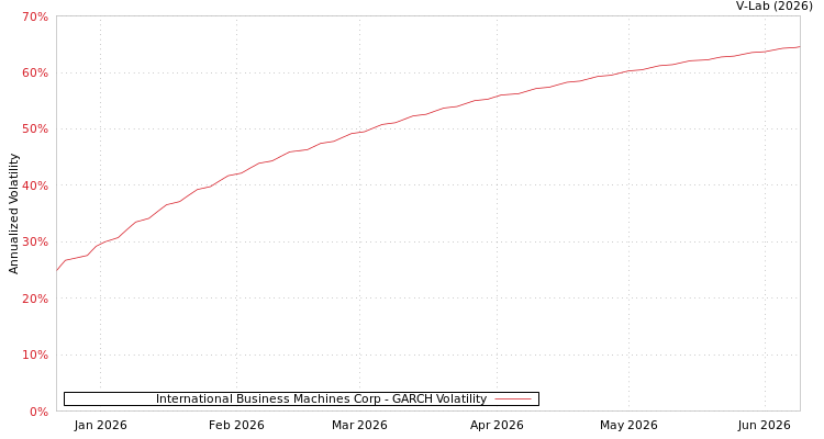 graph of International Business Machines Corp GARCH