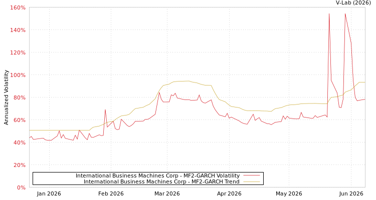 graph of International Business Machines Corp MF2-GARCH