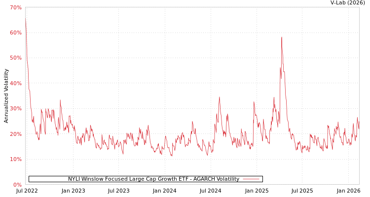 graph of NYLI Winslow Focused Large Cap Growth ETF AGARCH