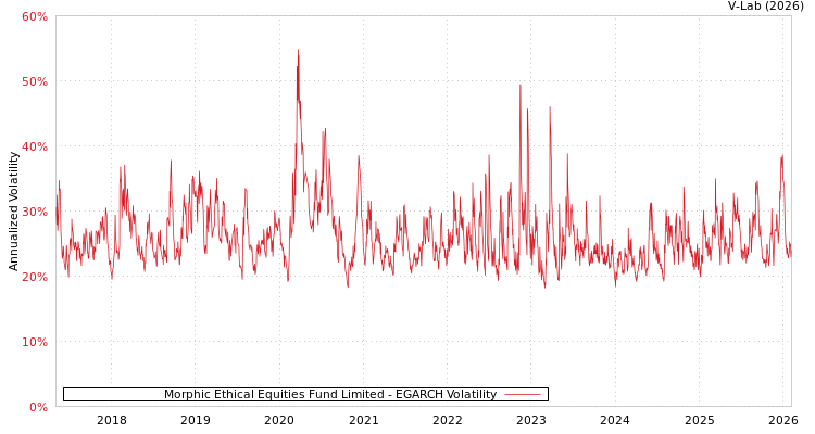 graph of Morphic Ethical Equities Fund Limited EGARCH