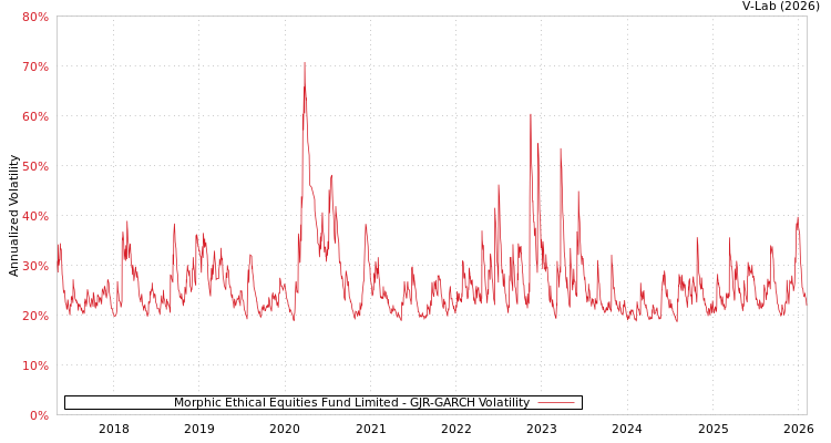 graph of Morphic Ethical Equities Fund Limited GJR-GARCH