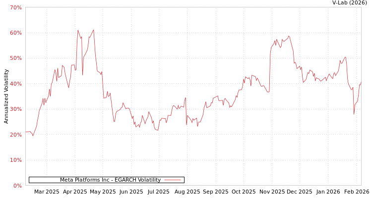 graph of Meta Platforms Inc EGARCH