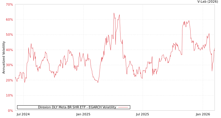 graph of Direxion DLY Meta BR SHR ETF EGARCH