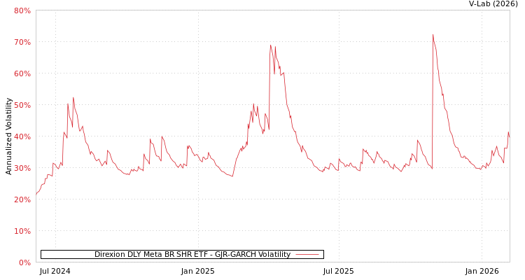 graph of Direxion DLY Meta BR SHR ETF GJR-GARCH