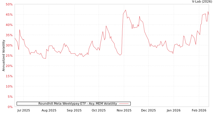 graph of Roundhill Meta Weeklypay ETF AMEM