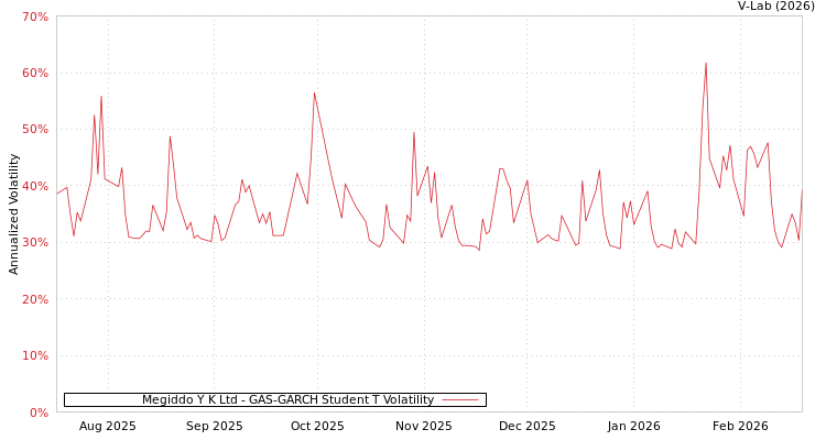 graph of Megiddo Y K Ltd GAS-GARCH-T