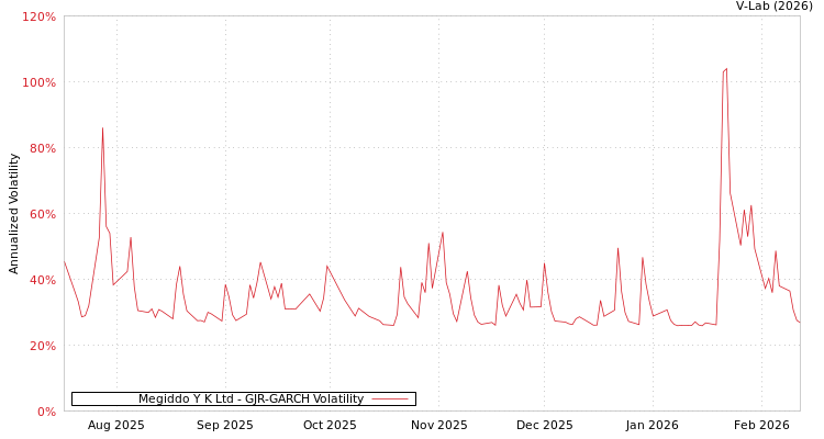 graph of Megiddo Y K Ltd GJR-GARCH