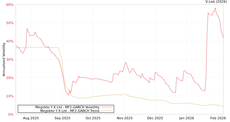 graph of Megiddo Y K Ltd MF2-GARCH