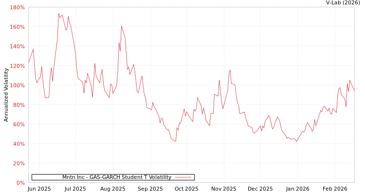 graph of Mntn Inc GAS-GARCH-T