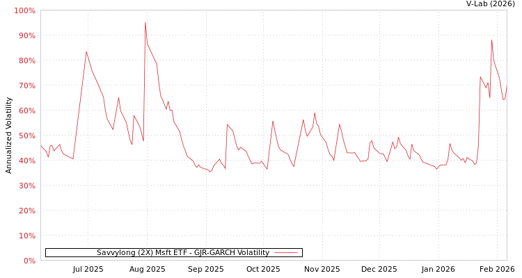 graph of Savvylong (2X) Msft ETF GJR-GARCH