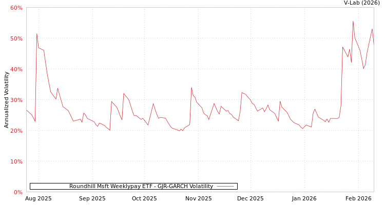 graph of Roundhill Msft Weeklypay ETF GJR-GARCH