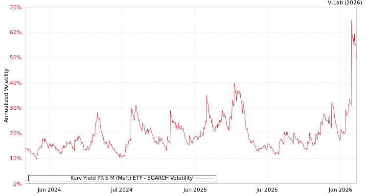 graph of Kurv Yield PR S M (Msft) ETF EGARCH