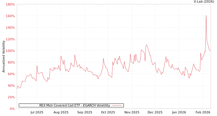 graph of REX Mstr Covered Call ETF EGARCH